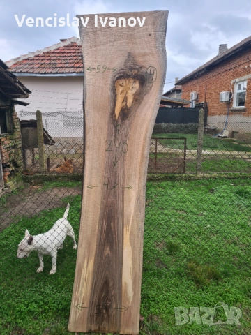 Орехов дървен материал, снимка 3 - Други - 52777276