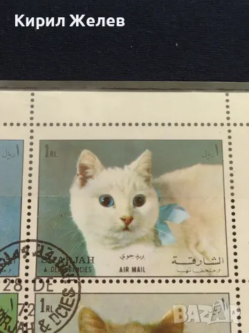 Пощенски марки ЖИВОТНИ КОТКИ перфектно състояние за КОЛЕКЦИОНЕРИ 46692, снимка 3 - Филателия - 47490714