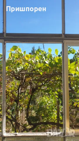 Стъклар за Мездра и селата., снимка 8 - Стъкларски услуги - 46197415