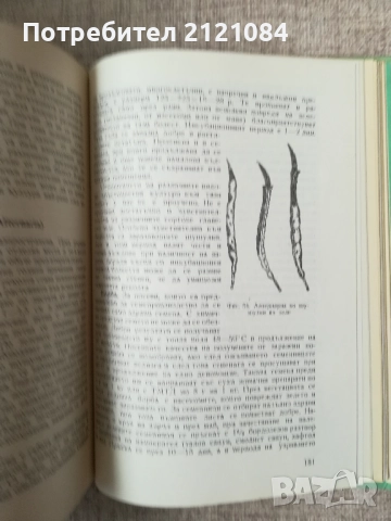  Болести и неприятели по зеленчуковите култури, снимка 4 - Специализирана литература - 52066901