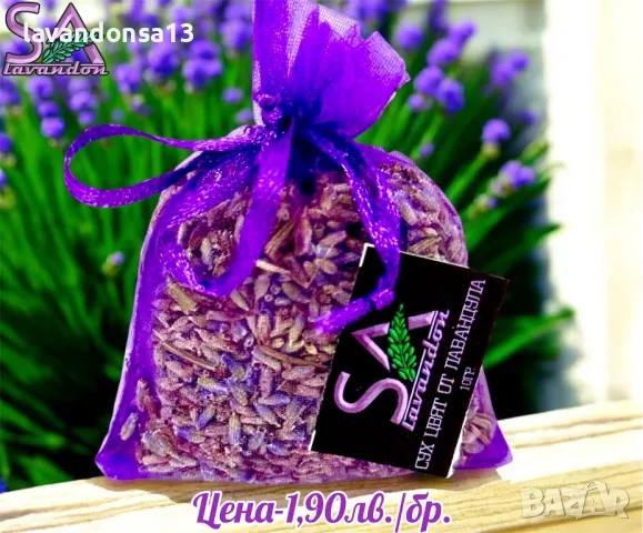 Сух Ронен Цвят Лавандула