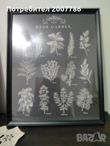 Подправки -графика