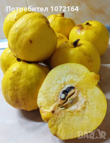 Компот от дюли , снимка 4 - Домашни продукти - 48214746