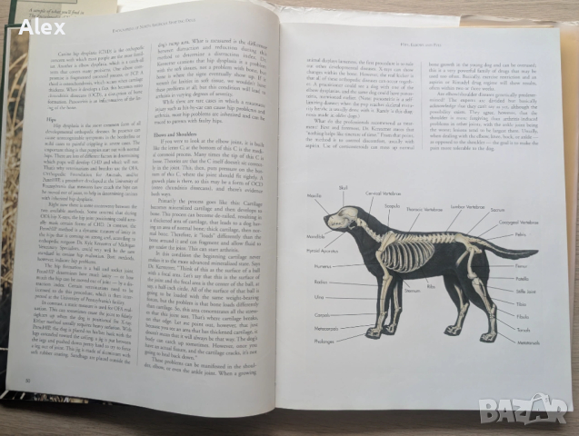 The Encyclopedia of North American Sporting Dogs, снимка 9 - Енциклопедии, справочници - 53518573