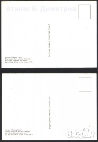 Пощенски картички Марки Коне 1978 от Великобритания, снимка 3 - Филателия - 39188989
