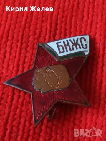 БНЖС Стара ЕМАЙЛИРАНА РЯДКА БРОНЗОВА СОЦ НРБ ЗНАЧКА ЖЕНСКИ СЪЮЗ 34260, снимка 6 - Колекции - 38970046