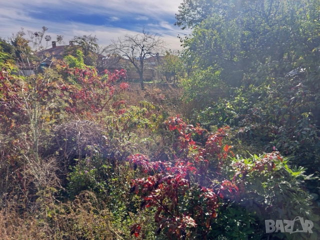 Дворно място Николаево обл. Стара Загора, снимка 4 - Парцели - 52151699