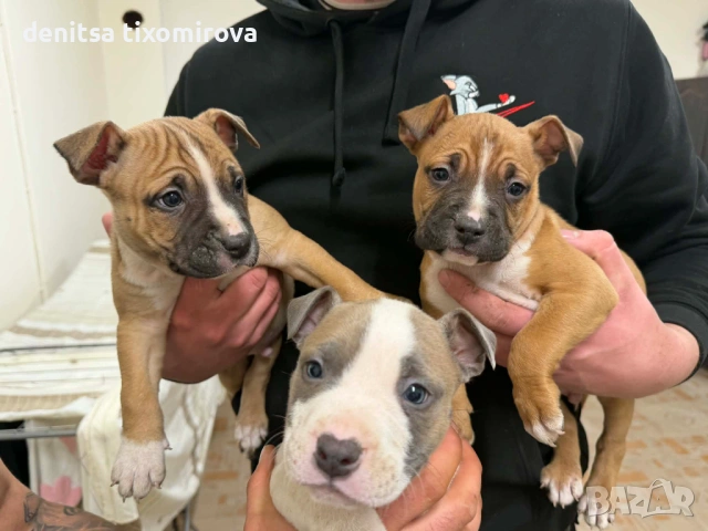 ПРОДАВАТ СЕ !!!