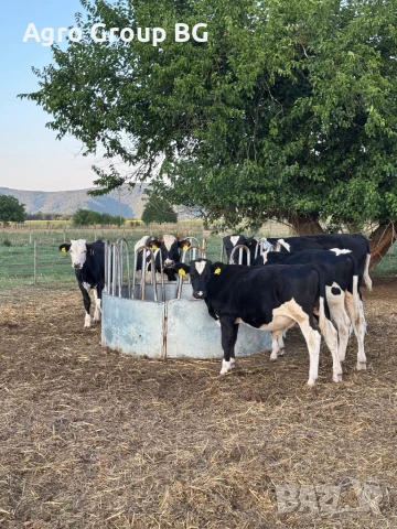 ТОП ОФЕРТА Предлагаме различни видове пасищни хранилки, снимка 2 - За селскостопански - 51316764