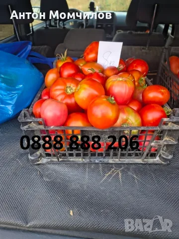 Продавам вкусни домати, снимка 3 - Домашни продукти - 55884872