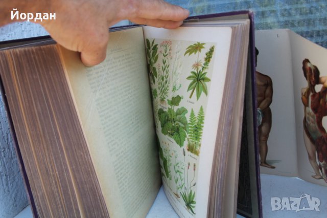 Немска книга за семейството 944 страници, снимка 10 - Колекции - 41808009