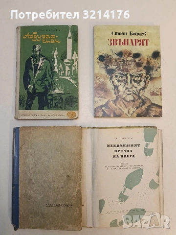 Звънарят - Стоян Бойчев