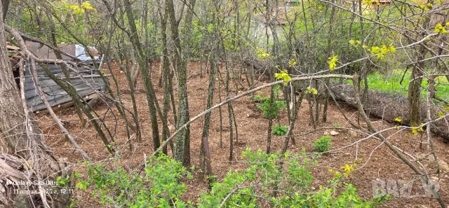 Парцел в квартал Бистрец община Враца , снимка 10 - Парцели - 49534229