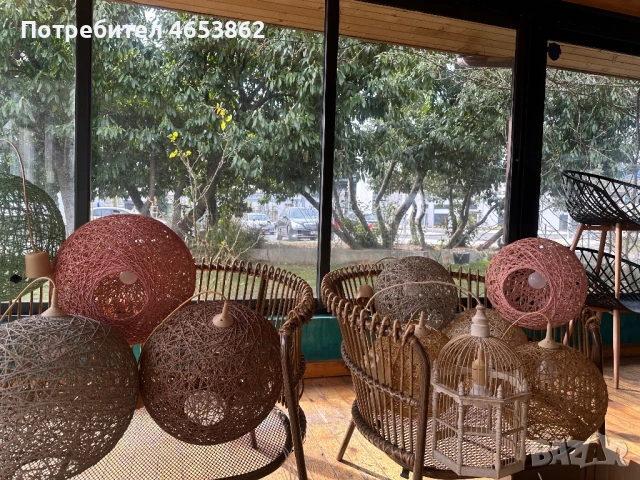 Полилеи , снимка 2 - Полилеи - 53696638