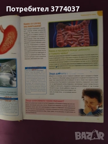 1000 въпроса Какво искат да знаят децата , снимка 2 - Детски книжки - 53396999