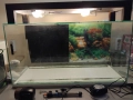Продавам оборудван аквариум, снимка 1