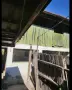 Продава се къща в с. Градец, обл. Видин, снимка 17