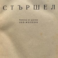 Стършел - Етел Лилиан Войнич, снимка 2 - Художествена литература - 44495820