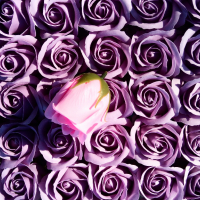 Сапунени рози, снимка 5 - Изкуствени цветя - 35947886