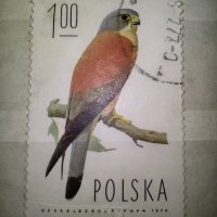 Стари Полски пощенски марки, снимка 3 - Филателия - 41806751