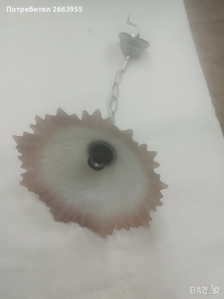 полилеи , снимка 1