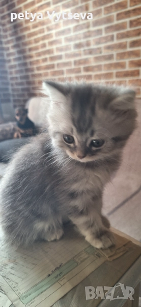 Момченца и момиче, снимка 1