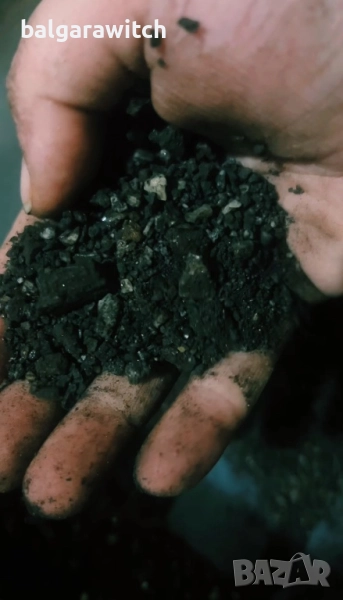 Черна сол за изчистване и защита, снимка 1