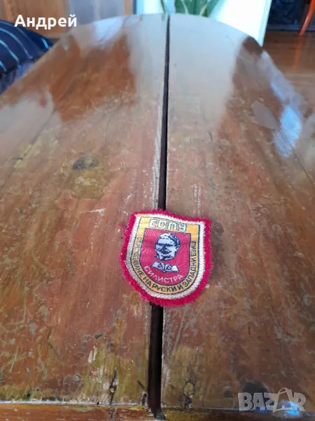 Стара училищна емблема ЕСПУ Силистра, снимка 1