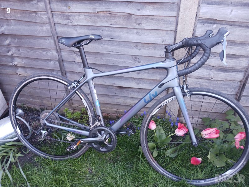 Giant Langma, снимка 1