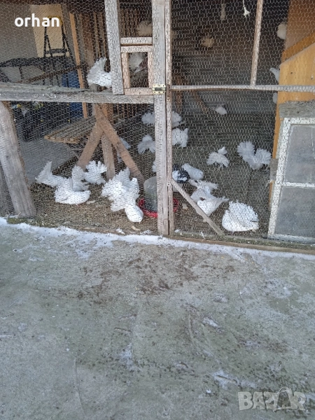 фенерли за продаване или бартер , снимка 1