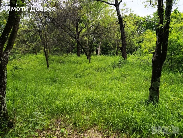 Имот в гр. Троян - спокоен квартал, снимка 4 - Парцели - 53681040