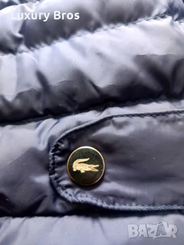 Мъжки якета Lacoste, снимка 10 - Якета - 47982724