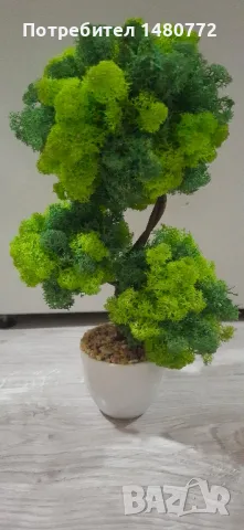 Бонсай със скандинавски мъх в саксийка, снимка 5 - Декорация за дома - 48125215