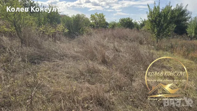 парцел УПИ град Димитровград кв Черноконево, снимка 2 - Парцели - 56258495