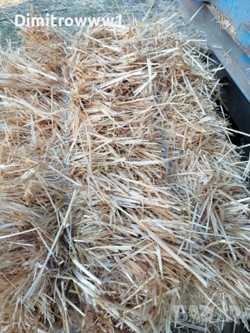 Продавам Бали , снимка 2 - За селскостопански - 53761813