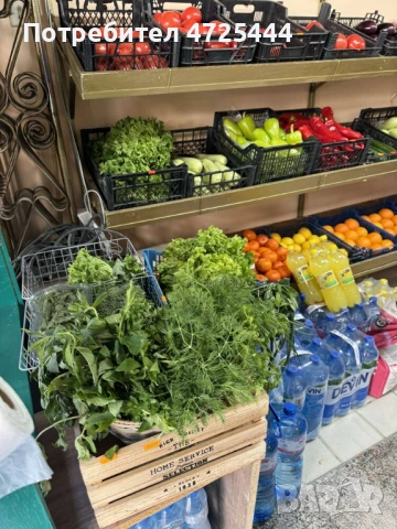 Отдава под наем магазин разработен Плод-Зеленчук Център гр. Бургас, снимка 3 - Магазини - 53304395