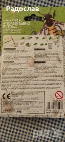 комплект Открийте фосила на насекомото, снимка 2 - Други - 47905192