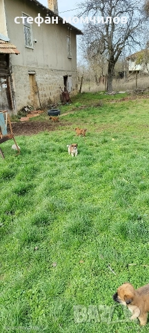 подарявам , снимка 7 - Други - 52387377