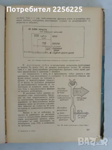 Физиология на човека, снимка 6 - Специализирана литература - 47319396