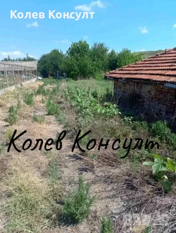 Продава животновъдна ферма в село Голямо Асеново, снимка 5 - Парцели - 49352738