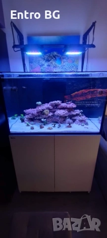 Морски аквариум red sea 300g2+, снимка 7 - Аквариуми - 53339771