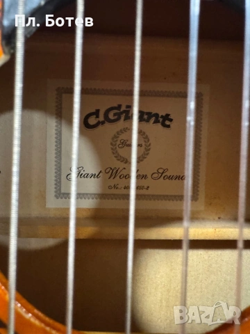 Акустична китара C.Giant FSC Classical Guitar, снимка 2 - Китари - 53817315