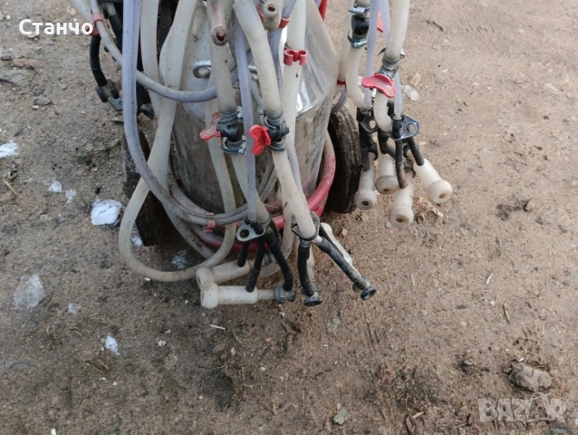  Естакада  за 8 животни, агрегат за 8 кози или овце , снимка 4 - За селскостопански - 53105510