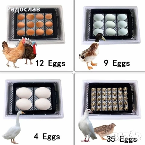 Автоматичен Инкобатор за яйца!, снимка 3 - За птици - 50937489