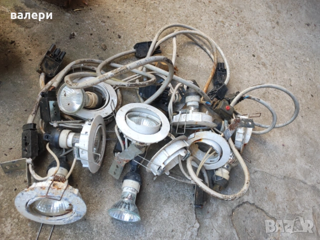 Крушки от чужбина, снимка 2 - Крушки - 53870559