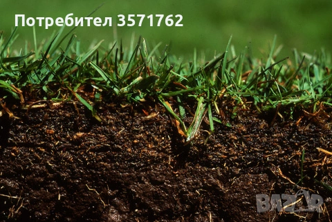 Нива 2 катерогия в село Садовец, община Долни Дъбник