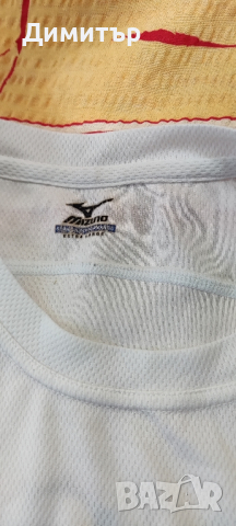 mizuno, снимка 1