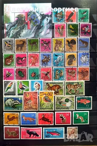 Животни 154 бр.марки. К.1