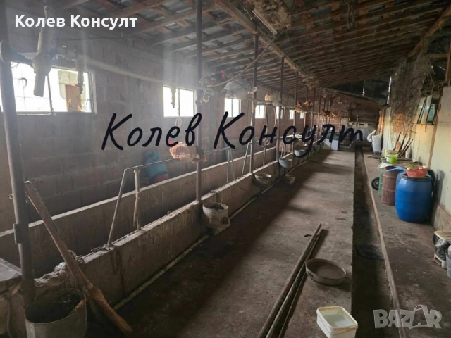 Стопанство гр.Симеоновград , снимка 4 - Други - 53814165