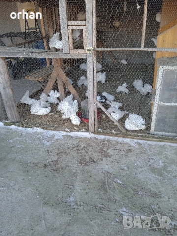 фенерли за продаване или бартер 